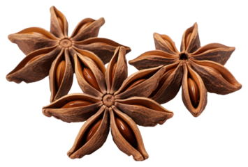 PNG Star anises brown spice food.