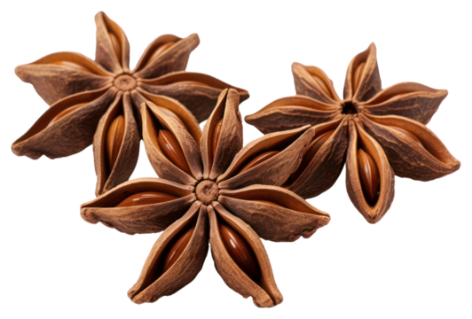 PNG Star anises brown spice food.