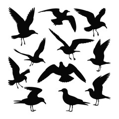 Obraz premium Silhouettes of various seagulls in flight and perched on a white background