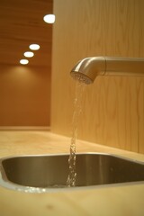 Modern Faucet with Water Flowing into Stainless Steel Sink