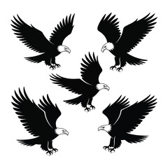 Fototapeta premium Majestic bald eagles in flight silhouettes displaying powerful wings and fierce expressions