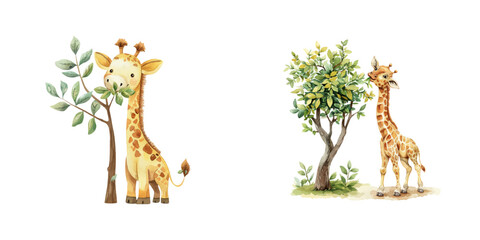 girrafe eating leaves from a tree watercolor vector illustration