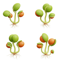 Four stages of seed germination and seedling growth