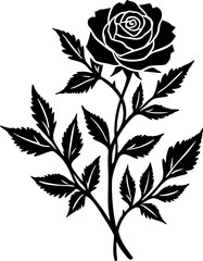 Black and White Rose Floral Line Art