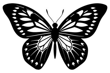 Vector art of silhouette of  butterfly on white background