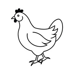 vector illustration of a chicken