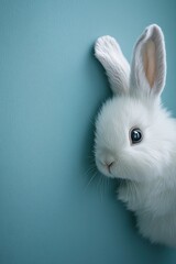 Obraz premium Cute White Rabbit Peeking Out Against a Soft Blue Background