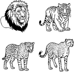 Big Cats: Lion, Tiger, Leopard, and Cheetah Illustrations on White Background