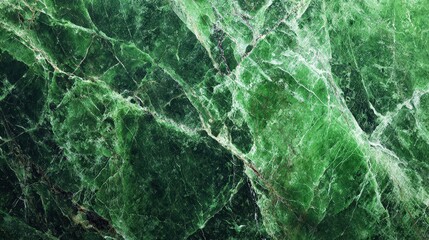 Green Detailed Leaves Pattern Background