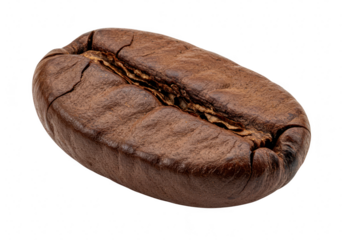 A single detailed macro shot of a roasted coffee bean with a prominent crack down the center isolated on a transparent background