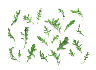 Leaves of fresh arugula isolated on white background