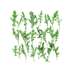 Leaves of fresh arugula isolated on white background