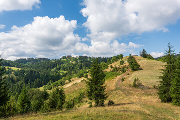 Landscape with green hills and trees during summer