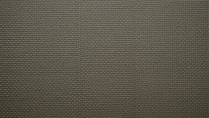 Stylish textured background showcasing a subtle weave pattern, perfect for design projects and creative presentations.
