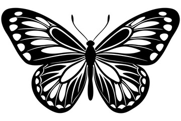 Vector art of silhouette of black and white butterfly