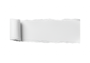 A strip of white paper is torn with rough jagged edges and a rolled section on the left side isolated on white isolated on transparent background