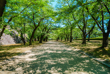 The view of Morioka Castle Ruins in Iwate, Japan