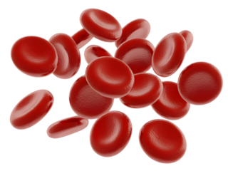Flowing red blood cells 
