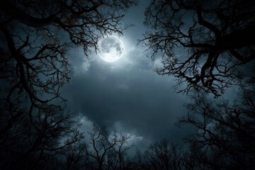 Bare trees frame a full moon in a night sky filled with dark heavy clouds