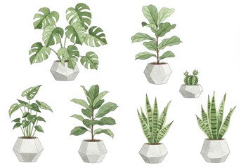 watercolor,flower,illustration,set,pot,plant,garden,isolated,botanical,art,collection,geranium,marigold,decoration,design,element,spring,summer,beautiful,nature,floral,houseplant,blossom,bloom,gardeni