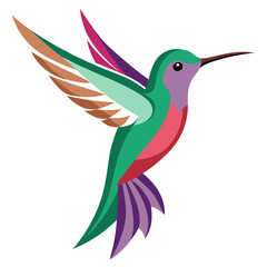 Modern Hummingbird Vector on White