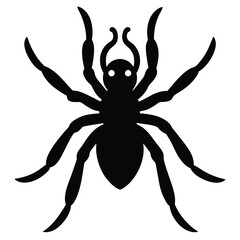 Solid color Trapdoor spider animal vector design
