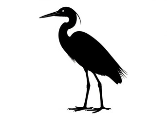 Obraz premium Silhouette of a heron standing isolated on white background in vector format