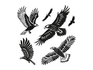 Obraz premium Variety of Black Eagle Vector Bundle | Bird Silhouettes, Wildlife Icons