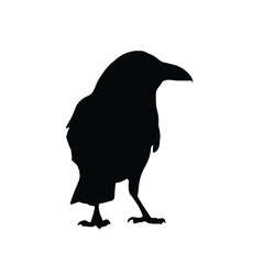 Back-facing crow silhouette on white background. Perfect for nature illustrations, Halloween themes, dark art, tattoo design, spooky décor, educational materials, or wildlife identification projects.