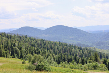 A mountain landscape where majestic forests cover the slopes, transitioning into distant hills that melt into a blue haze. This shot conveys a feeling of peace and the grandeur of nature.
