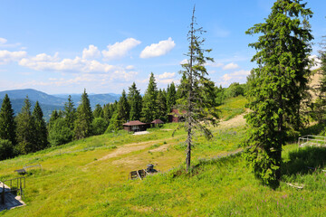 Mountainous area with green slopes covered by forest, where small cozy houses are scattered among the trees under a bright blue sky with light clouds.