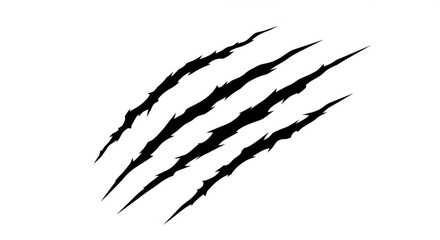 Five claw scratch marks isolated on white background