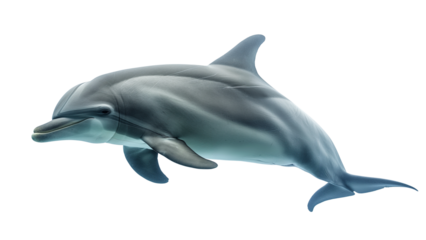 Underwater side view of dolphin in full profile with smooth curves and soft lighting, crystal-clear water texture, real look, full view, on white background, 4k, unique, no blur, clear view