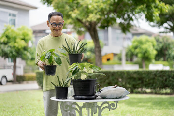 Asian senior takes care outdoor plants garden 