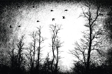 Silhouette of bare trees with flying birds. Gothic style black and white illustration	
