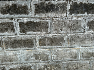 Aged dirty brick wall with mold texture