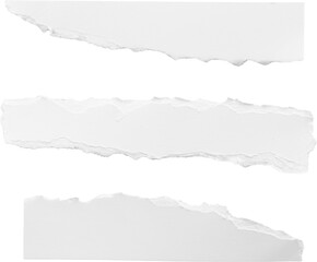 Torn white paper strips with rough edges isolated on white background, vector PNG
