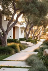 Obraz premium Sunlight filters through trees over a paved pathway to a modern home