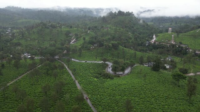 Drone Shots of Tea Plantations in Kerala