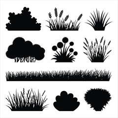 Black Silhouettes of Various Plants and Grasses on White Background