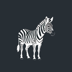 Obraz premium zebra vector illustration