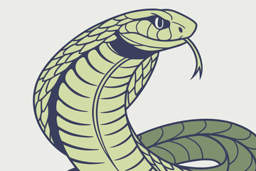 Fototapeta premium snake on a white background