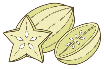 Obraz premium vector illustration of a melon