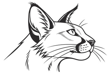 black cat head