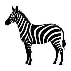 Fototapeta premium Stylized black and white zebra illustration