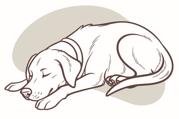 sleeping polar bear