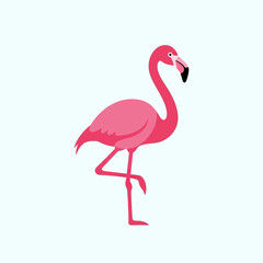 Fototapeta premium Pink flamingo standing on one leg against a light blue background.