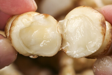 Enjoying freshly prepared deep bottom gourami screw vegetables at a vibrant meal moment