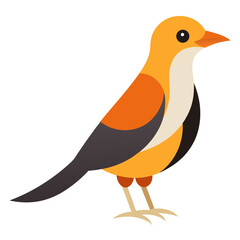 Modern Babbler Bird Vector Style on White