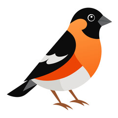 Modern Brambling Bird Vector Style on White
